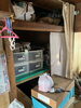 before「☆新年も生前整理･遺品整理･特殊清掃･不用品回収は株式会社SAJIにお任せください♪☆」
