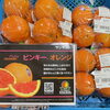 「直売所『旬の野菜・果物・山菜が入荷します！』」