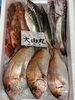 鯛その他「本日営業致します」