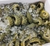 「魚魚市場鮮魚コーナーおすすめは「ノドグロの開き」です」