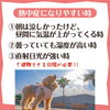こんな時は注意！「犬の熱中症対策」