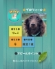 「2025/11/22㈯ 譲渡会(所沢市)保護犬参加情報！㉑ミニチュアダックスフンド　埼玉/所沢・入間・狭山・川越・飯能 　東京/東大和・武蔵村山・東村山・東久留米・小平・立川」
