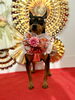 ダンくん「Happy New Year」