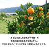 「今年のお中元は“舞鶴の味”を！【第五弾】「岸田秀農園」さんのみかんジュースギフト🍊 ⁡」