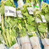 「農産物直売所では全国各地の旬の果物・野菜が入荷します！」