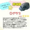 「もしもシリーズ‼️⚾️野球部編✨」