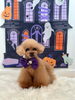 さらんちゃん「Happy Halloween 2026🎃」