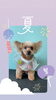 「Dog salon mofu mofu　余市町」