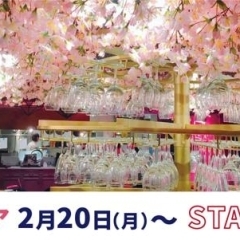 【ワイン飲み放題1,000円（税込）】「ESOLA（エソラ） 新宿」にて、2月20日（月）より天井を2,500本の桜で装飾した＂桜フェア＂第1弾がスタート！