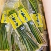 「2023年度産「新物　西わらびの水煮」販売開始してまーす♪♪ 雪深い岩手県西和賀町。」
