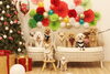 「メリークリスマス　ヾ(＠⌒ー⌒＠)ノ　パートⅡ」
