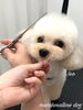 「秋のオプションキャンペーン　（╹◡╹）」