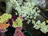 「ボルドー色の秋色シックなお花など、　いろいろ入荷しました！」