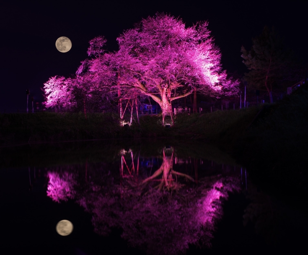 久留米の絶景桜の名所 まいぷれ 久留米市 久留米の絶景桜の名所 まいぷれ 久留米市