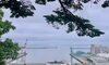 「8/21 小樽の古民家ゲストハウスより」