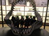 サメの口から(^○^)「楽しかった水族館♬」