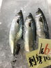 「魚魚市場鮮魚コーナーおすすめは「アジ」です♪」