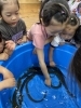 「八女市で保育園をお探しの方へ」