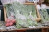 「(Y)ours CAMPUS MARKET【川口のイベント情報】」