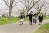 桜の下で、ランドセルで駆け抜ける新1年生「江戸川区で桜の家族写真撮影会｜2026年ソメイヨシノ撮影会【江東区・葛飾区も対応◎】」