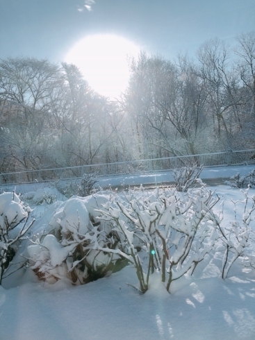 雪景色　実は結構好きです「年末年始のお知らせ」