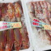 「魚魚市場鮮魚コーナーおすすめは「スルメイカ」です」