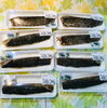 「魚魚市場鮮魚コーナーおすすめは「ハコエビ・うちわエビ」です♪」