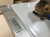 体重も計りました！「しまこの爪切り」