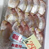 「魚魚市場鮮魚コーナーおすすめは、「シイラ」です♪」