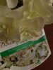 だんだんとグリーンぽく変化して長く楽しめます「母の日 アジサイ 入荷しました❗」
