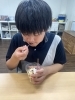 「パフェの日」