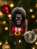 「Dog salon mofu mofu　余市町」