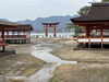 「出雲から宮島・広島へ 世界遺産と広島グルメを楽しむ社員旅行」