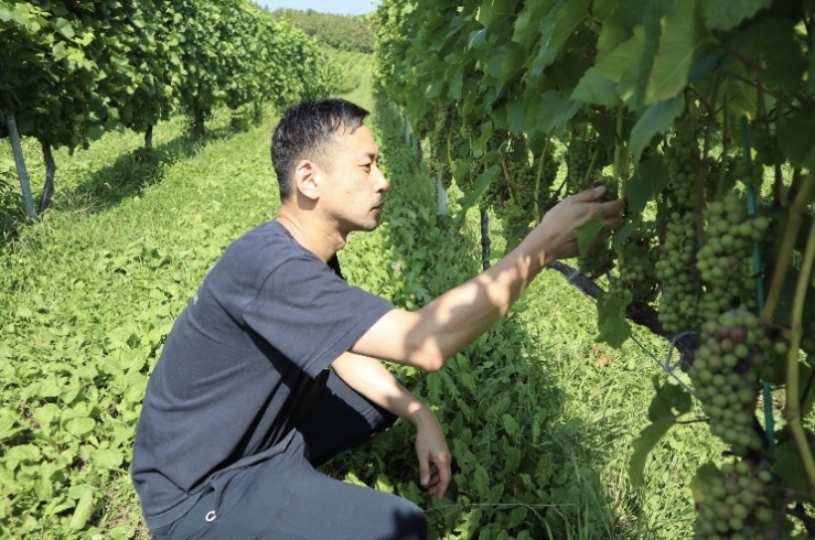 「ワインなお話」