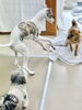 「冬のお散歩が減って犬の運動不足が心配？｜おうち遊びと犬の保育園の使い方【新潟市】」