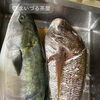 鰤、鯛、その他旬の魚「旬の食材を使用しています🐟✨」