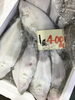 「魚魚市場鮮魚コーナーおすすめ商品は「ノドグロ・カレイ」です♪」