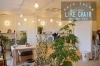 LIKE CHAIR（ライク　チェアー）