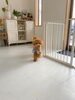 「プリマでのワンちゃん達の様子♡」