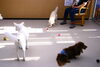 「今日のお友達」