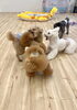 すごいお顔ですが🤣みんな楽しんでるお顔です「ましゅまろ幼稚園🐾パート2」