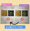 「私の今のお肌は、元気肌？」