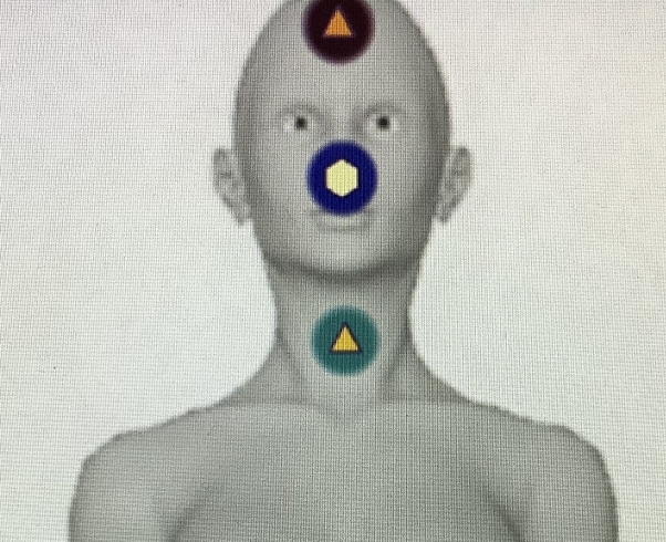 チャクラ測定　゛伝説の1゛「あなたに合う食材、物で健康生活を始めませんか♡占い感覚で楽しめるメタトロン波動測定！鳥取氣功院」