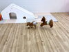 クッキー＆くま追いかけっこ。忍法くま浮くの術🥷「ましゅまろ幼稚園🐾」