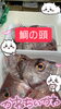 「鮮魚パックいろいろ販売中‼️〆鯖も販売致します🐳」