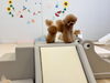 ルルちゃん大のお気に入り♡「ましゅまろ幼稚園🐾」