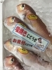 「魚魚市場鮮魚コーナーおすすめは「エビスダイ」です♪」