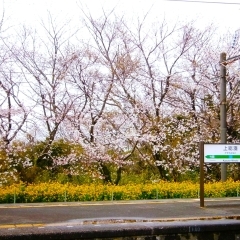 JR上総湊駅周辺｜富津市