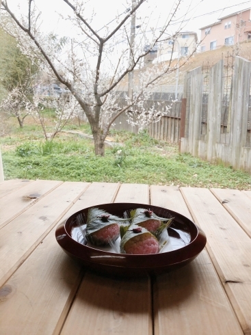 桜餅作り「杉田梅まつりのご報告」