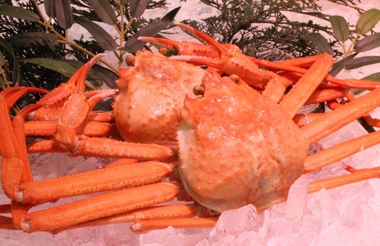 有限会社 木村鮮魚店 ふるさと納税で日本を元気に 日吉津村 まいぷれ 米子 有限会社 木村鮮魚店 ふるさと納税で日本を元気に 日吉津村 まいぷれ 米子